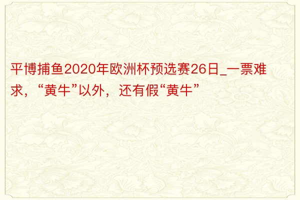平博捕鱼2020年欧洲杯预选赛26日_一票难求，“黄牛”以外，还有假“黄牛”